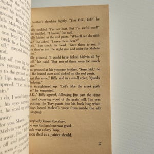Pode incluir: Um close-up de uma p&aacute;gina de livro com texto sobre dois meninos, Jim e Billy, que est&atilde;o brincando em um campo. O texto descreve as a&ccedil;&otilde;es dos meninos e seus sentimentos. O n&uacute;mero da p&aacute;gina 17 &eacute; vis&iacute;vel no canto inferior direito.