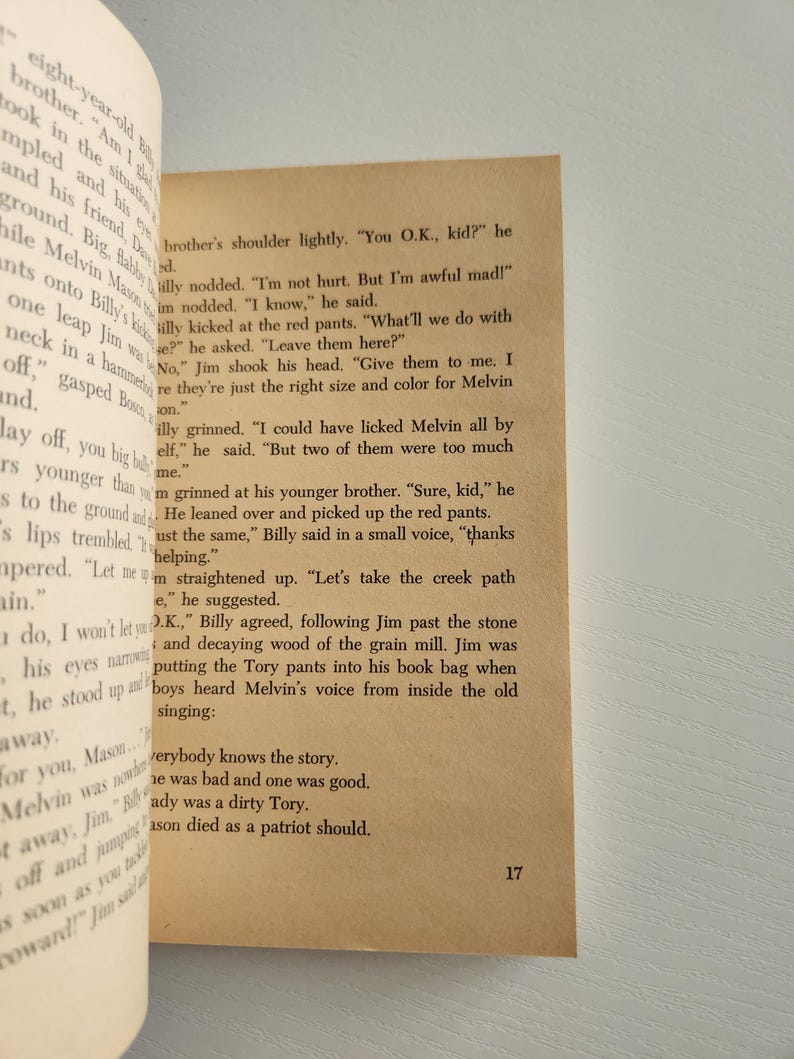 Pode incluir: Um close-up de uma p&aacute;gina de livro com texto sobre dois meninos, Jim e Billy, que est&atilde;o brincando em um campo. O texto descreve as a&ccedil;&otilde;es dos meninos e seus sentimentos. O n&uacute;mero da p&aacute;gina 17 &eacute; vis&iacute;vel no canto inferior direito.