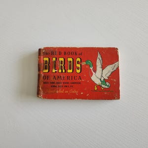 The Red Book Of Birds Of America by Frank G. Ashbrook -- 1941 Vintage Bird Field Guide -- Nature Lover Book -- Bird Prints Handbook
