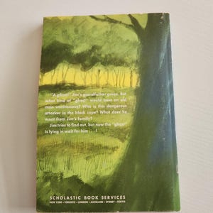 Pode incluir: Uma capa de livro com uma ilustra&ccedil;&atilde;o verde e amarela de uma floresta. O texto na capa diz: "Um fantasma!" O av&ocirc; de Jim ofega. Mas que tipo de "fantasma" poderia bater em um velho at&eacute; deix&aacute;-lo inconsciente? Quem &eacute; esse atacante perigoso com a capa preta? O que ele quer da fam&iacute;lia de Jim? Jim tenta descobrir, mas agora o "fantasma" est&aacute; esperando por ele...!