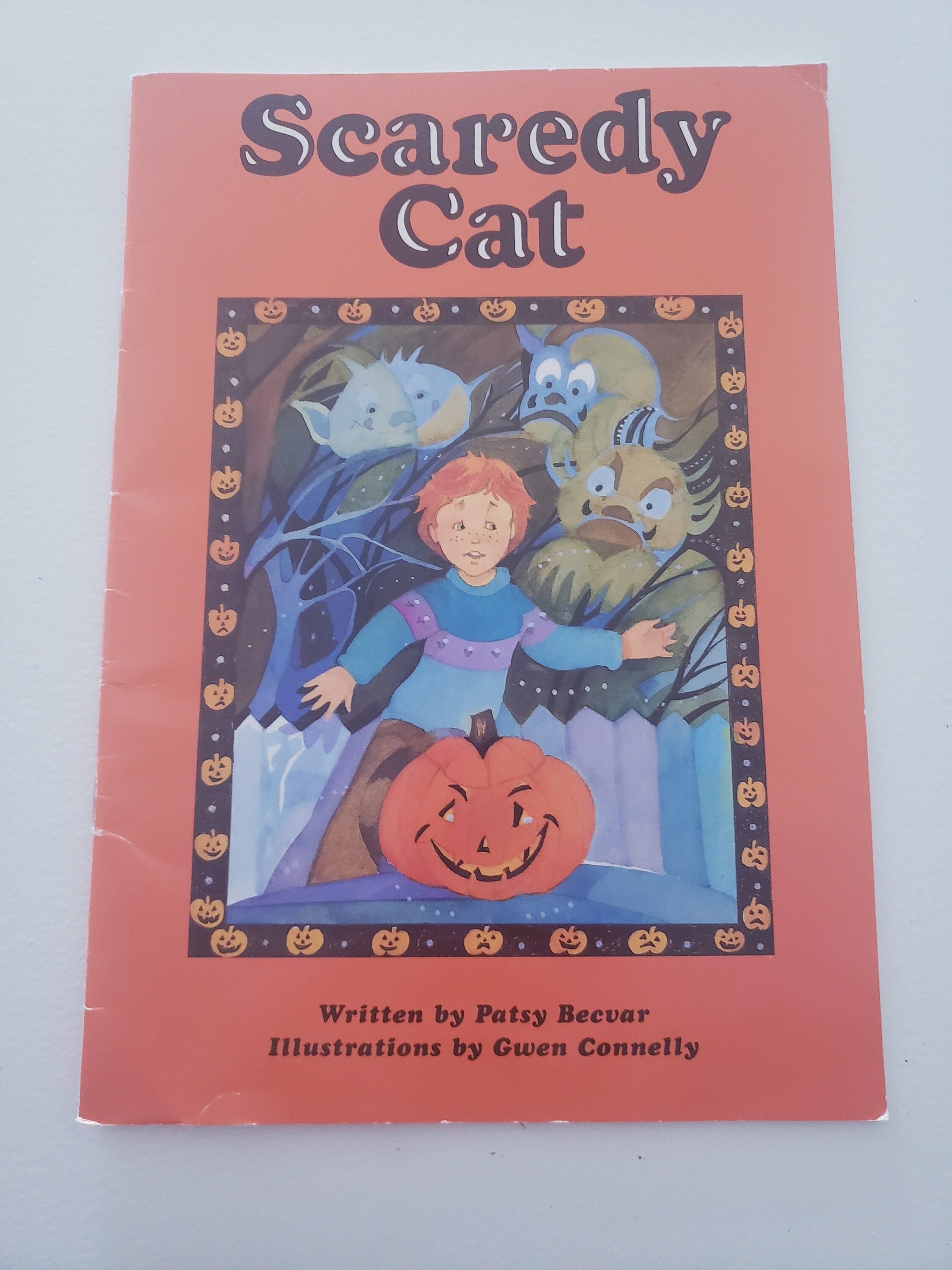 Vintage Children's Book the Scaredy Cats and the Haunted -  Ireland