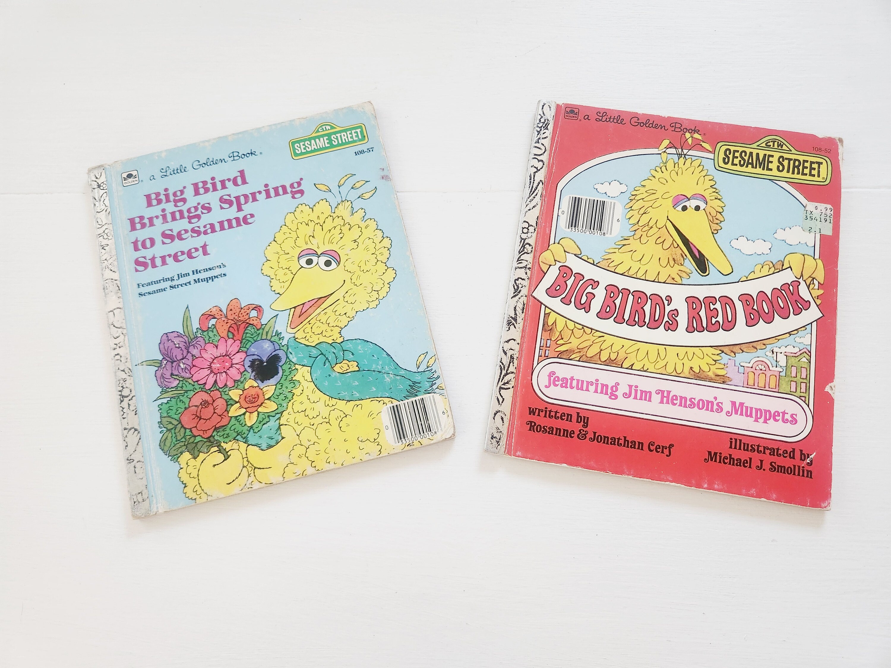 VTG Golden Book A Big Coloring Book Sesame Street Big Bird The Great  Outdoors
