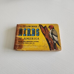 The Yellow Book Of Birds Of America by Frank G. Ashbrook -- 1941 Vintage Bird Field Guide -- Nature Lover Book -- Bird Prints Handbook