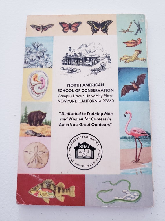 Vintage Zoology-an Introduction to the Animal Kingdom-a Golden - Etsy Vintage Zoology-an Introduction to the Animal Kingdom-a Golden - Etsy
