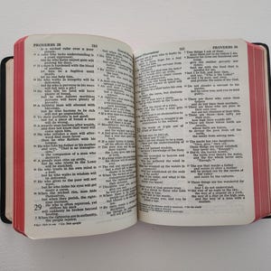 Holy Bible Concordance Old & New Testament Self-Pronouncing Edition -- Illustrated Bible -- Prayer Book  -- 1962 Vintage Bible