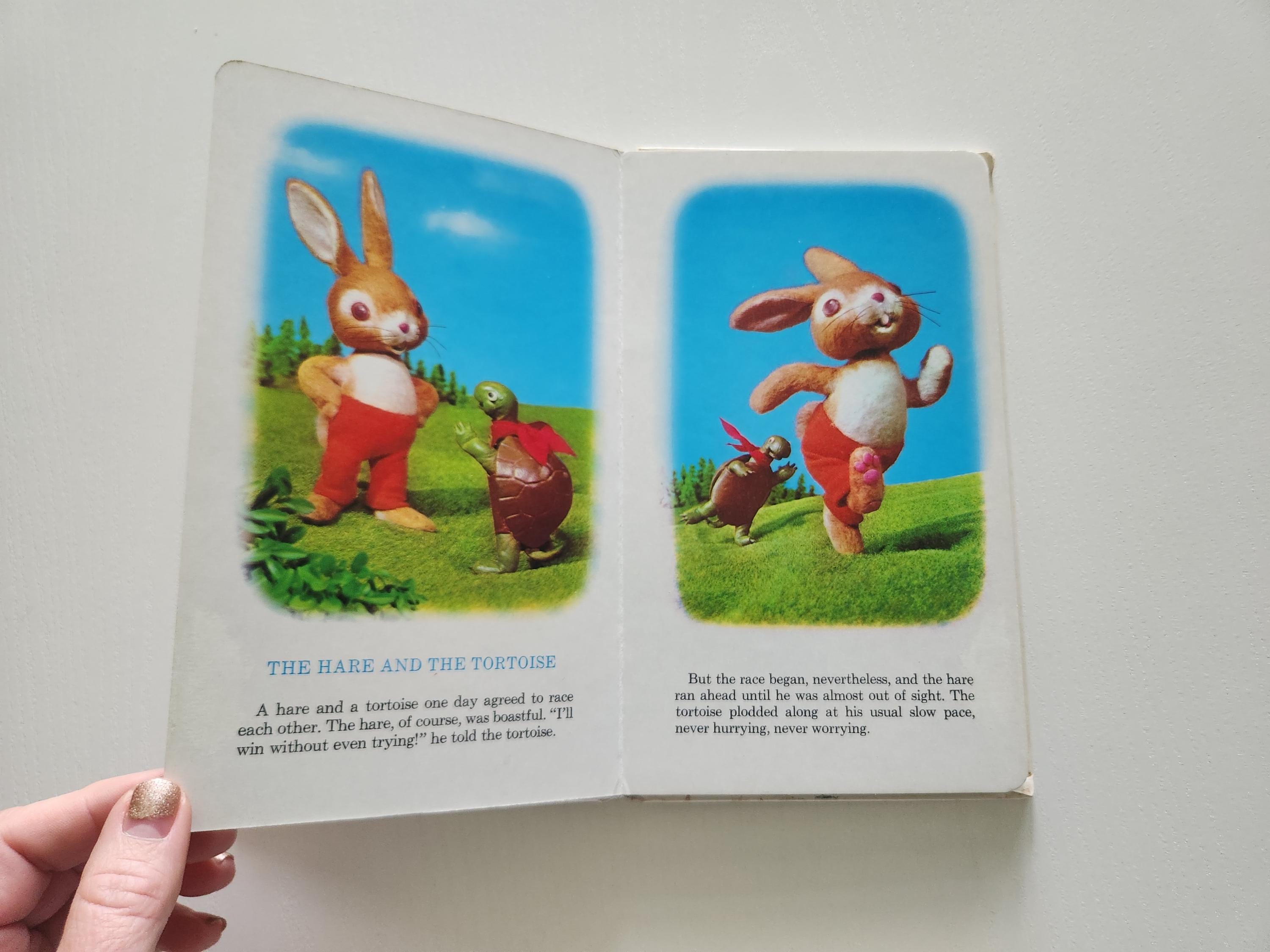 The Tortoise and the Hare & the Lion and the Mouse Board Book { 1976 ...