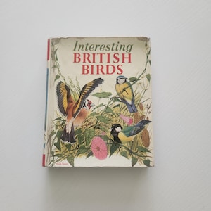 Interesting British Birds by Kathleen N. Daly { 1958 } Vintage Bird Picture Handbook -- Bird Watcher Gift --Nature Reference Guide