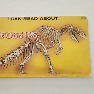 I Can Read About Fossils by John Howard -- 1977 Vintage Children&#39;s Book -- Natural Science Books -- Juvenile Literature -- Picture Book