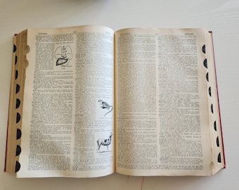The World Book Dictionary Set of 2 Volumes Hardcover