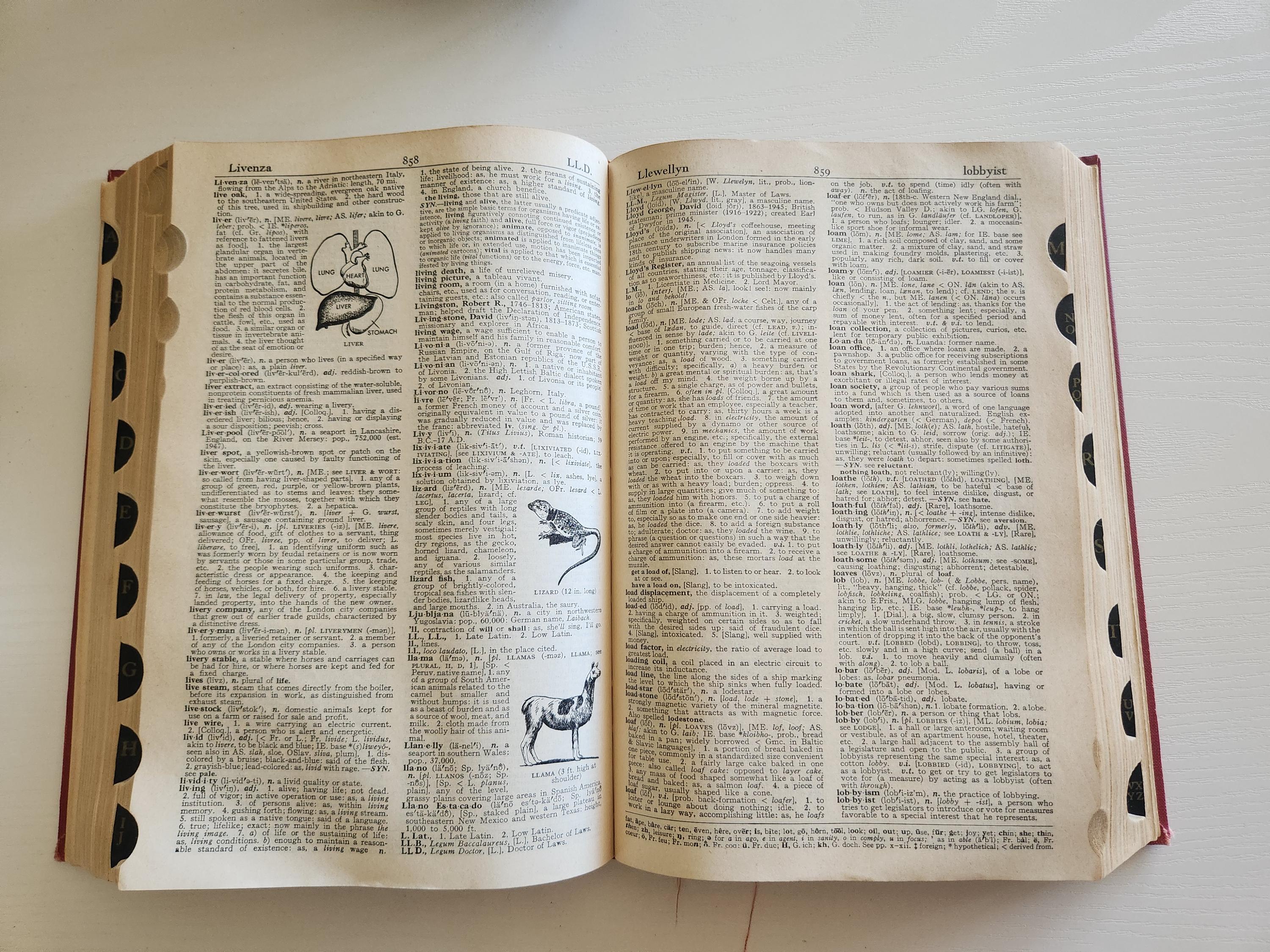Vintage Websters New World Dictionary College Edition -- 1956 Vintage Dictionary -- Student Reference Book -- Word Find Book -- Home Office