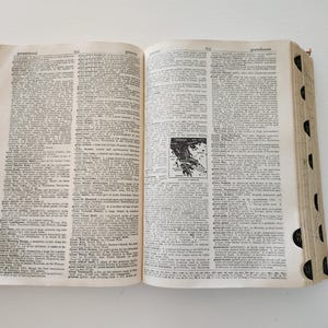 Vintage Websters New World College Edition Dictionary -- 1957 Student Dictionary Reference Book --Home Office Decor -- Old Dictionary Pages