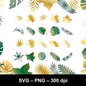 Goudgroen blad svg / goud monstera blad svg / jungle bladeren svg / groen blad svg / tropisch blad svg / goud tropisch blad svg