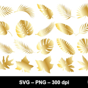 Bladgoud svg / goud monstera blad svg / jungle bladeren svg / palm tak svg / tropische clipart / bladgoud svg / goud tropisch blad svg