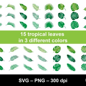 Tropical leaves svg / monstera leaf svg / jungle leaves svg / palm branch svg / tropical clipart / leaf svg / tropical decor svg