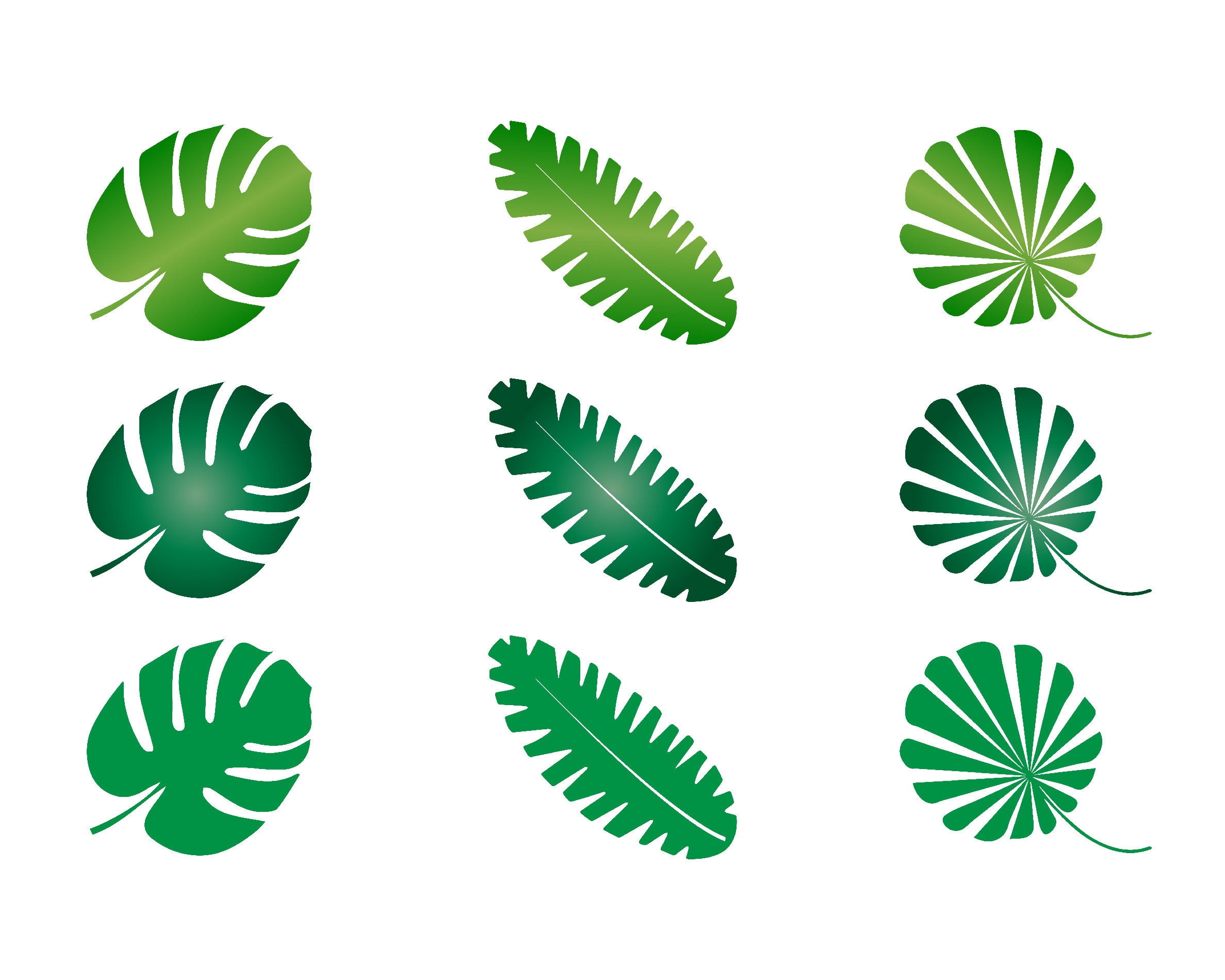 Tropical Leaves Svg / Monstera Leaf Svg / Jungle Leaves Svg / - Etsy