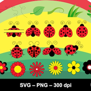 Coccinella svg, Ladybug bundle, love bug svg, lady bug svg, ladybug split monogram, ladybug leaf svg, ladybug svg bundle, ladybug flower