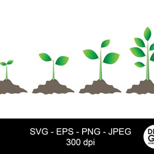 Groeiende plant svg / groeiplantproces / groeiende plantenvolgorde