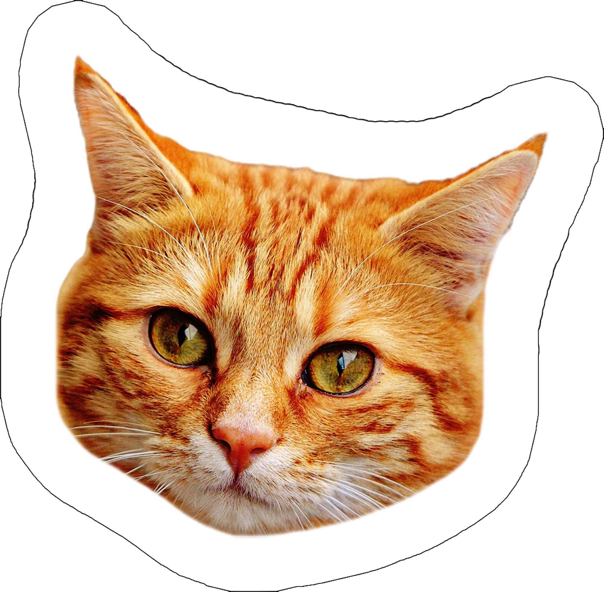 PET FACE PILLOW Custom Pet Picture Pillow A Big Head Pillow Etsy Italia