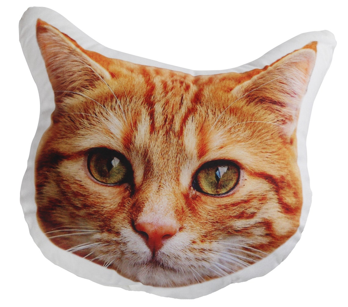 CUSTOM FACE PILLOW Face Picture Pillow Personalized Funny - Etsy