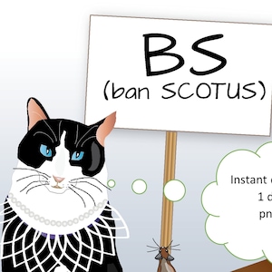 Ruth Bader Ginsburg Cat and BS (ban SCOTUS) sign, smaller file pro-choice clip art (1 instant download w/ no ads)