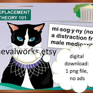 Ruth Bader Ginsburg Cat, Replacement Theory and Misogyny class, with supreme court background