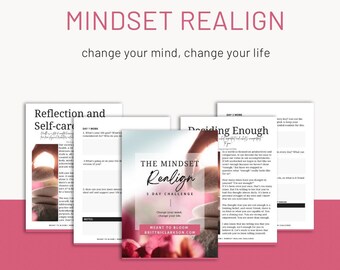 Mindset Realignment Workbook & Video Series Challenge