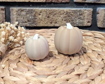 Lot de 2 impressions 3D de citrouilles