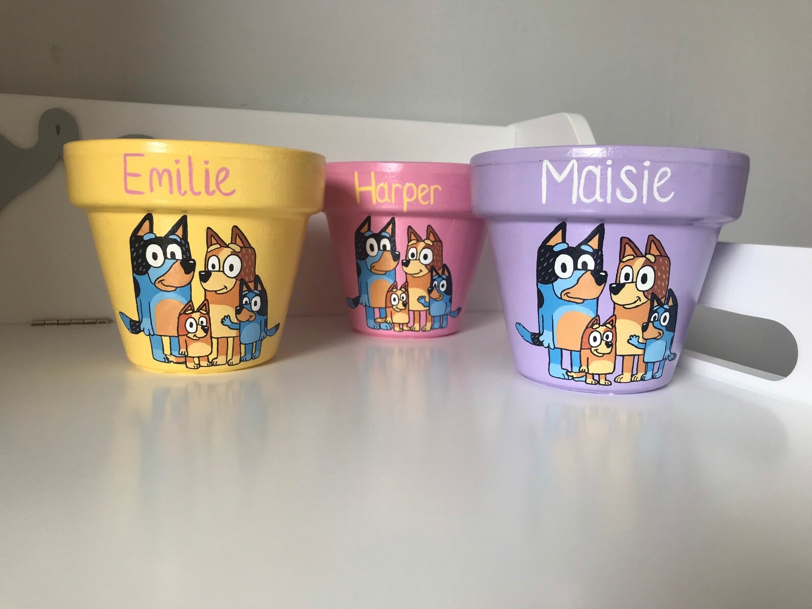 Personalised childrens gift CBeebies Bluey plant pot Etsy