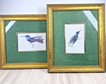 Vintage Gold Framed Bird Prints Set Velvet Mat Hummingbird Wall Art 11x13