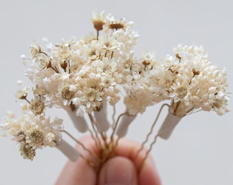 Grampo de cabelo de casamento com flores secas, grampo de cabelo com flor de estrela de glixia branca, acessório delicado para cabelo de casamento com flores reais, aplique de cabelo de casamento, grampo de cabelo