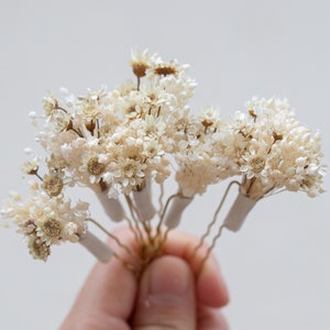 Dried Flower Wedding Hair Pin, White Glixia Star Flower Hair Clip, Dainty Wedding Hair Accessory Real Flowers, Wedding Hair Piece, Bobby Pin