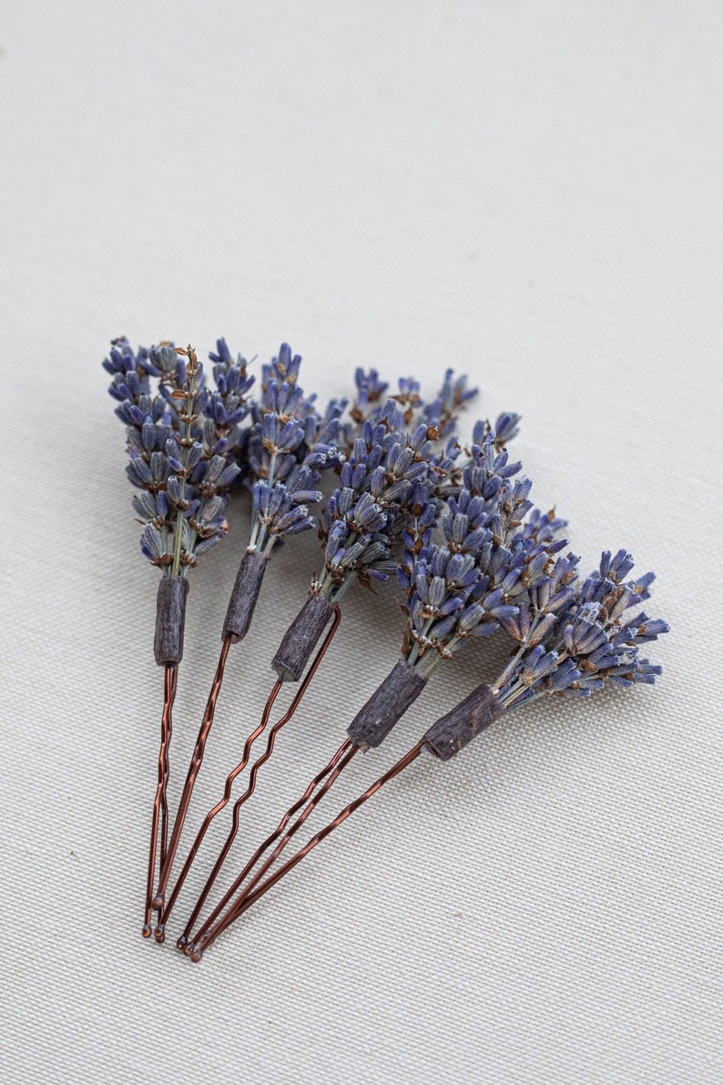 Pode incluir: Seis grampos de cabelo com ramos de lavanda seca presos &agrave;s pontas. Os grampos de cabelo s&atilde;o de cor cobre e a lavanda &eacute; de um roxo claro.