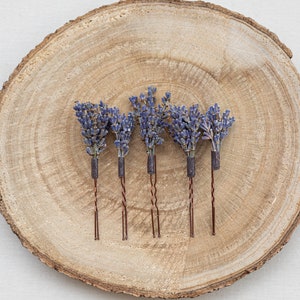 Pode incluir: Cinco grampos de cabelo de lavanda com hastes de arame marrom em uma superf&iacute;cie de madeira.