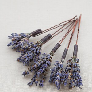 Pode incluir: Seis grampos de cabelo com flores de lavanda secas presas &agrave;s pontas. Os grampos de cabelo s&atilde;o de cor cobre e as flores de lavanda s&atilde;o de um roxo claro.