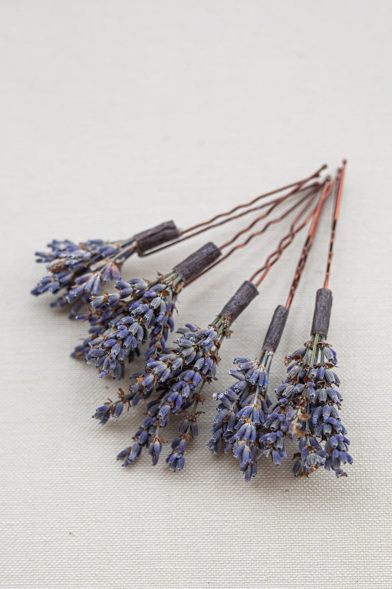 Pode incluir: Seis grampos de cabelo com flores de lavanda secas presas &agrave;s pontas. Os grampos de cabelo s&atilde;o de cor cobre e as flores de lavanda s&atilde;o de um roxo claro.