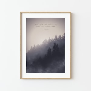 Fine Art Print – Wald, Nebel, Tannen, Bäume, Natur, Wildnis, Nebelwald, Mystisch, Geschenk, Home Decor, Interieur, Deko, Art, Kunstdruck