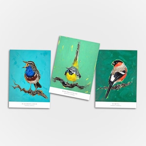 Conjunto de postales de 3 - pájaros del bosque, pechiazul, lavandera gris, camachuelo, pájaros, naturaleza, tarjetas, tarjetas de felicitación, pintura, arte, pintura al óleo, impresión de arte
