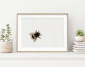 Fine Art Print – Bumblebee, Insect, Meadow, Forest, Nature, Wilderness, Gift, Decoration, Home Decor, Interior, Poster, Art Print