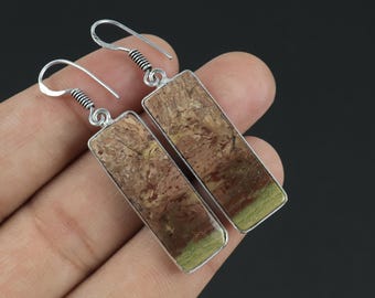 Fotojaspisoorbellen, verzilverde oorbellen, edelsteenoorbellen, sterlingzilveren oorbellen, matched pair oorbellen rechthoekige hangoorbel