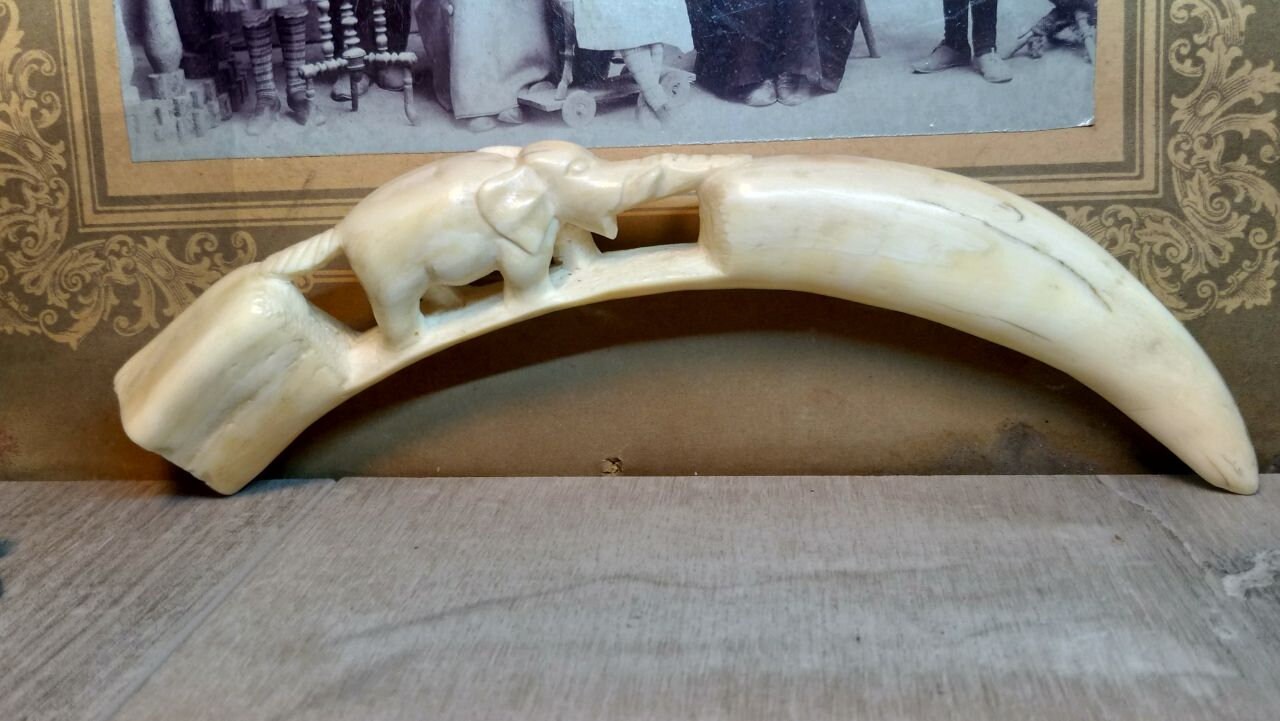 Large copy of a walrus tooth made of plastic Vintage circa | Etsy