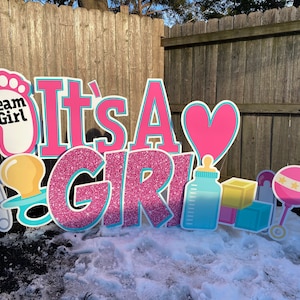 C’est un signe de carte de cour de douche de bébé de fille avec des enjeux