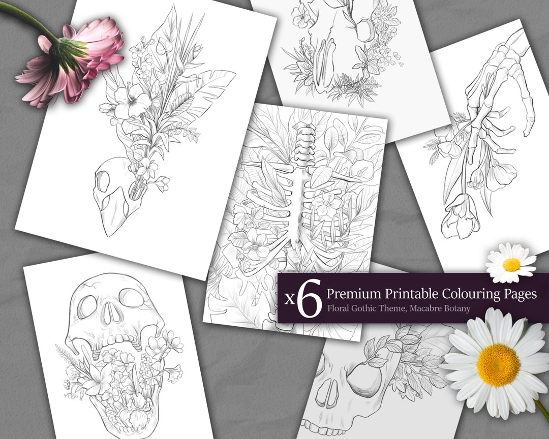 Printable Adult Coloring Pages, Bundle of 6x Gothic Botany Coloring ...