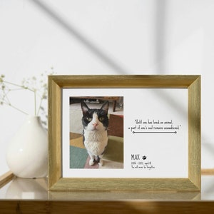Stampa commemorativa personalizzata per animali domestici, memoriale per cani, regalo di ricordo per animali domestici, regalo di cordoglio per la perdita di un animale domestico, ricordo di un gatto, stampa regalo di ricordo con foto di un cavallo