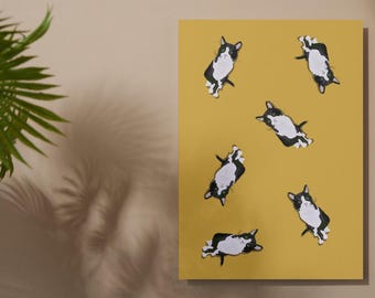 Tuxedo Cat Birthday Card: A5 Glossy Print, Vegan-Friendly