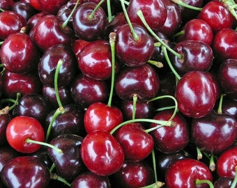 Cherry Triptych