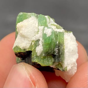 Cats Eye Tourmaline Specimen: Raw Crystal Healing Stone, Pakistan (5 Grams