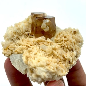 Peut inclure: Spécimen minéral naturel avec deux cristaux hexagonaux bruns sur une matrice de formations beiges en forme d'aiguilles. Les cristaux ont un aspect brillant, contrastant avec la texture plus rugueuse du matériau environnant. La palette de couleurs est chaude, avec des tons terreux.