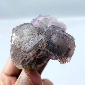 Op de afbeelding: Een close-up van een cluster van fluorietkristallen, met een reeks paarse tinten. De kristallen hebben een kubusvorm en een getextureerd oppervlak. De kleur varieert van licht lavendel tot diep violet. Het mineraal wordt door een hand vastgehouden.