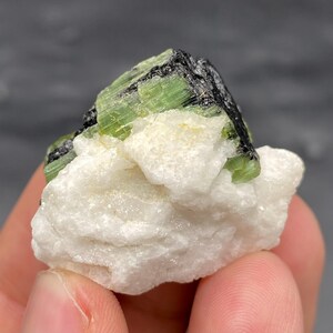 Esemplare di tormalina occhio di gatto: pietra curativa di cristallo grezzo, Pakistan (20 grammi)