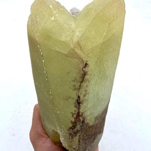 Op de afbeelding: Een grote, lichtgroene kristalformatie met een ruw, getextureerd oppervlak. Het kristal heeft een rechthoekige vorm met een puntige top en een donkerbruine streep die door het midden loopt. Het kristal wordt in een hand gehouden.
